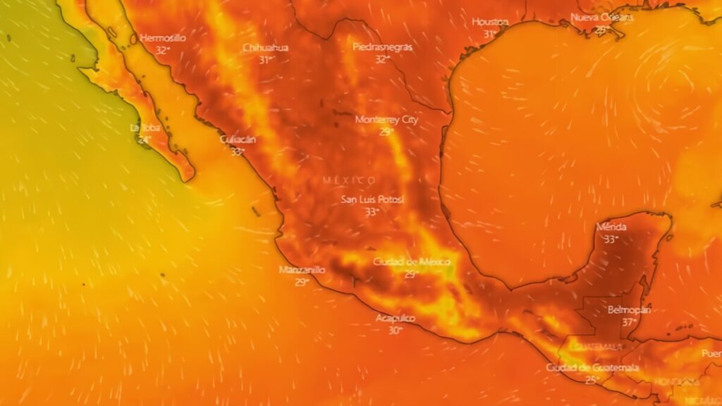 Google lanza alertas en tiempo real y herramientas para enfrentar olas de calor en México