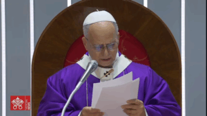 Foto: Estambul, Santa Misa, 29 de noviembre de 2025, Papa León XIV