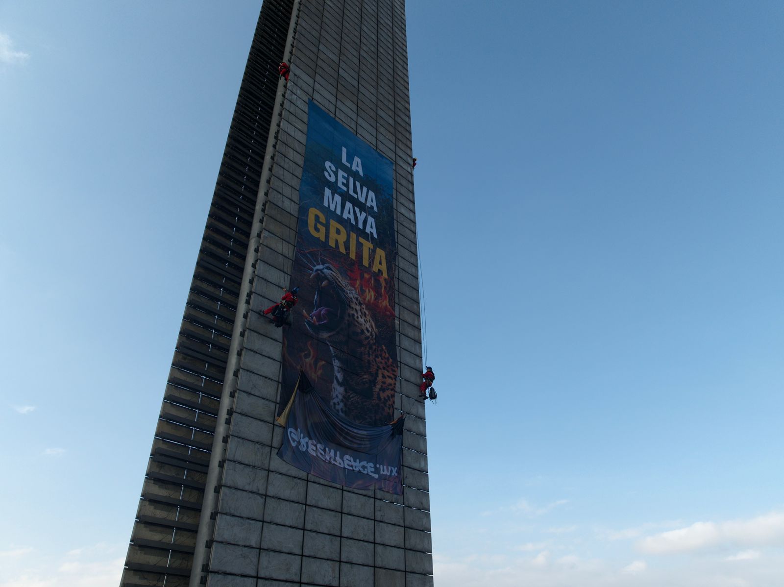Foto: Greenpeace México