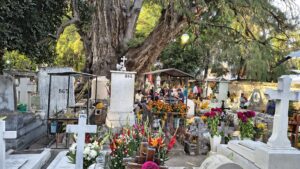 IMG 20251117 WA0072 scaled