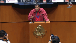 Foto: Segunda parte de la sesión de la Cámara de Senadores, del 25 de noviembre de 2025