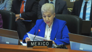 Foto: Luz Elena Baños - OEA - México